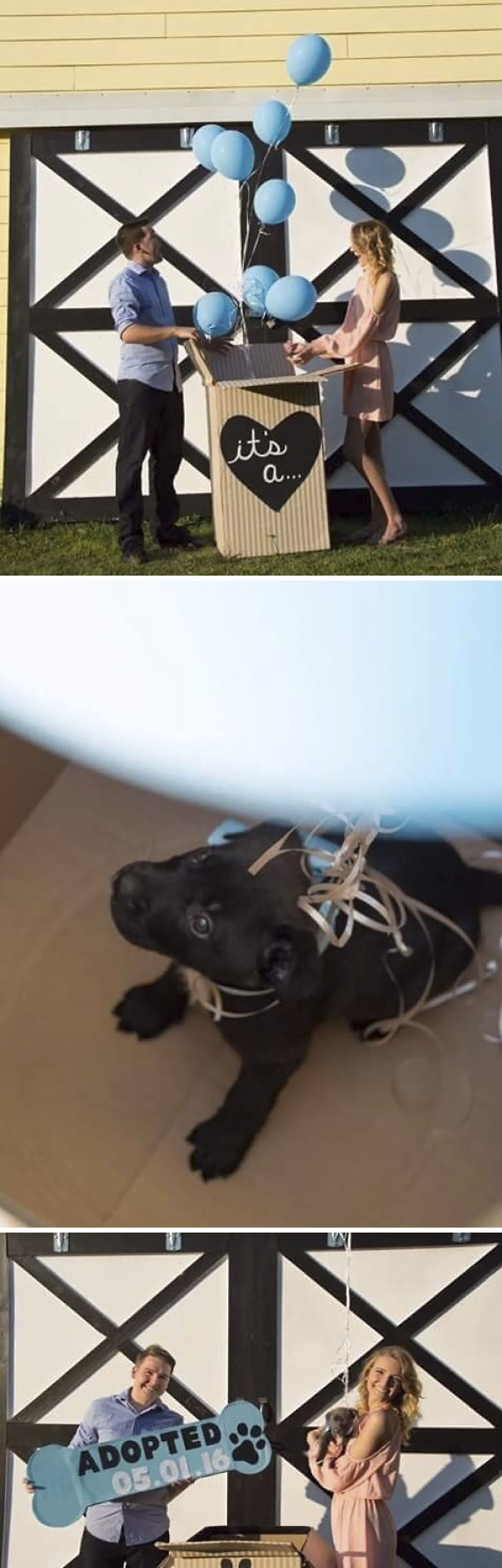 123 Genius Trolls Who Took Trolling To Another Level 123 Genius Trolls Who Took Trolling To Another Level