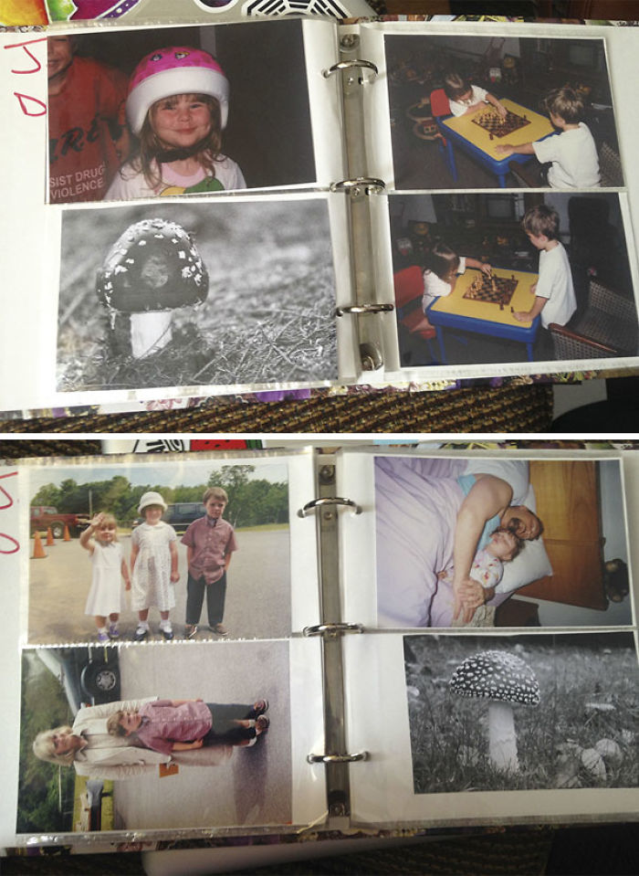 123 Genius Trolls Who Took Trolling To Another Level 123 Genius Trolls Who Took Trolling To Another Level