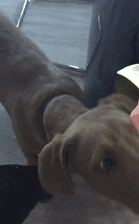 123 Genius Trolls Who Took Trolling To Another Level 123 Genius Trolls Who Took Trolling To Another Level