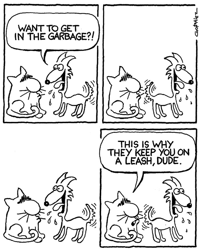 66 Hilarious Differences Between Cats And Dogs 66 Hilarious Differences Between Cats And Dogs