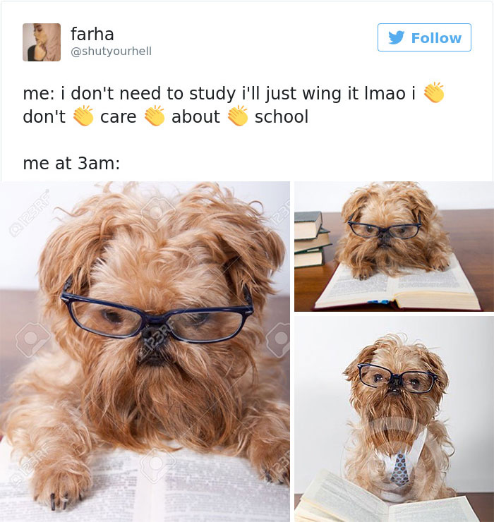 136 Hilarious Posts About College That Will Make You Laugh, Then Cry 136 Hilarious Posts About College That Will Make You Laugh, Then Cry