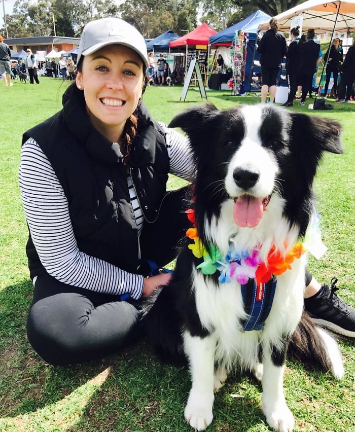 576 Border Collies Get Together In One Place To Break A World Record