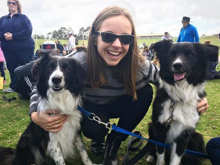 576 Border Collies Get Together In One Place To Break A World Record