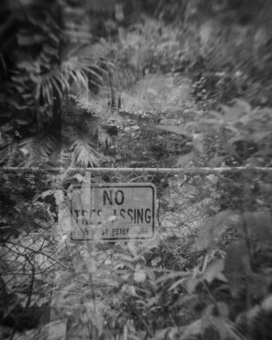 I Took Pictures Of My Negatives With An Iphone And A Clip-On Macro Lens And Got A Pretty Cool Effect I Took Pictures Of My Negatives With An Iphone And A Clip-On Macro Lens And Got A Pretty Cool Effect