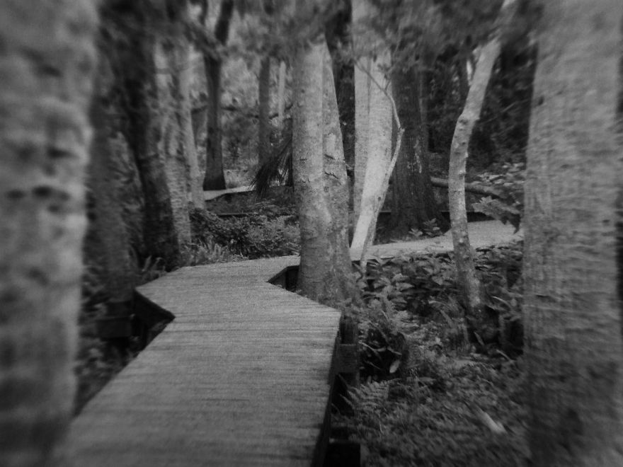 I Took Pictures Of My Negatives With An Iphone And A Clip-On Macro Lens And Got A Pretty Cool Effect I Took Pictures Of My Negatives With An Iphone And A Clip-On Macro Lens And Got A Pretty Cool Effect