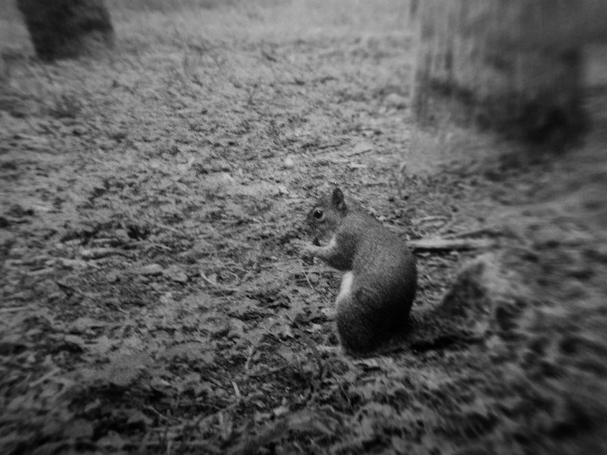 I Took Pictures Of My Negatives With An Iphone And A Clip-On Macro Lens And Got A Pretty Cool Effect I Took Pictures Of My Negatives With An Iphone And A Clip-On Macro Lens And Got A Pretty Cool Effect