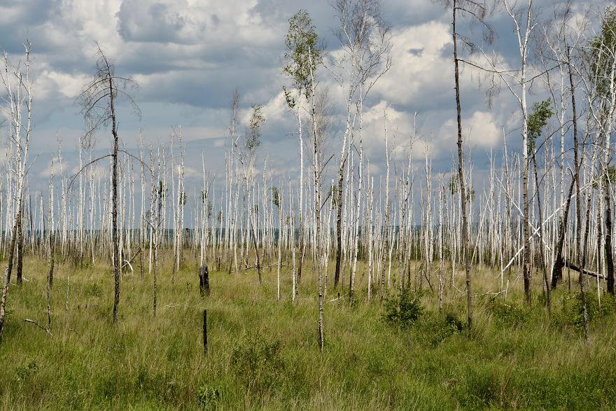 Riding The Road Of Bones In Russian Far East With My Father