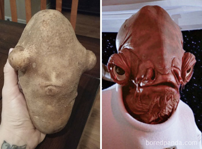 71 Times Everyday Objects Were Actually Pop Culture Icons In Disguise