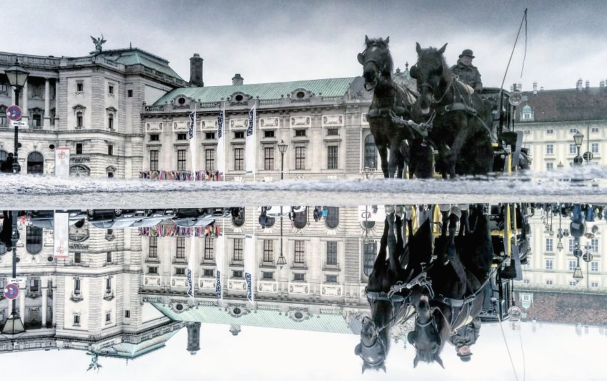 I Travel The World To Photograph The Parallel Worlds Of Puddles With My Smartphone (New Pics) I Travel The World To Photograph The Parallel Worlds Of Puddles With My Smartphone (New Pics)