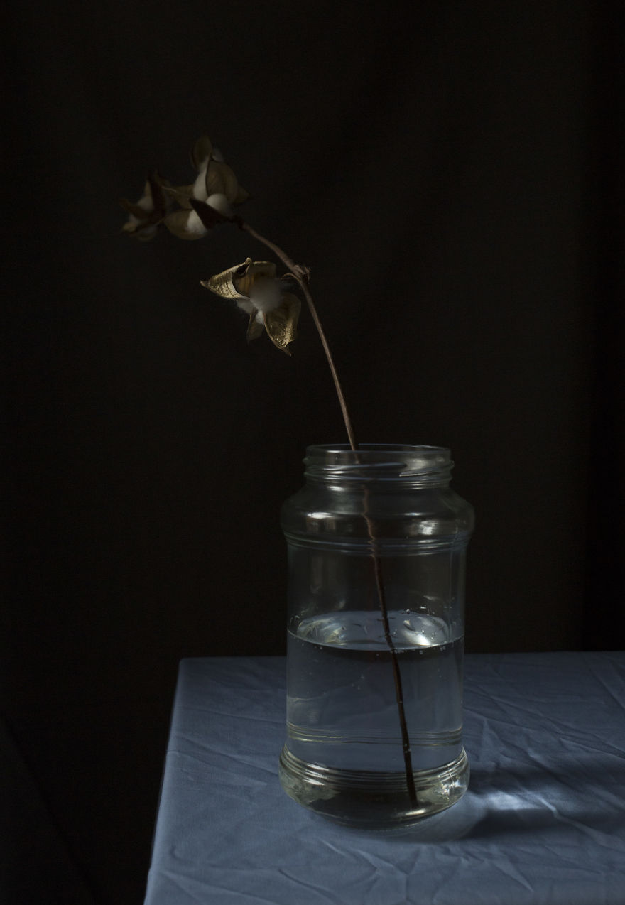 I Search For Beauty In My Own Home I Search For Beauty In My Own Home