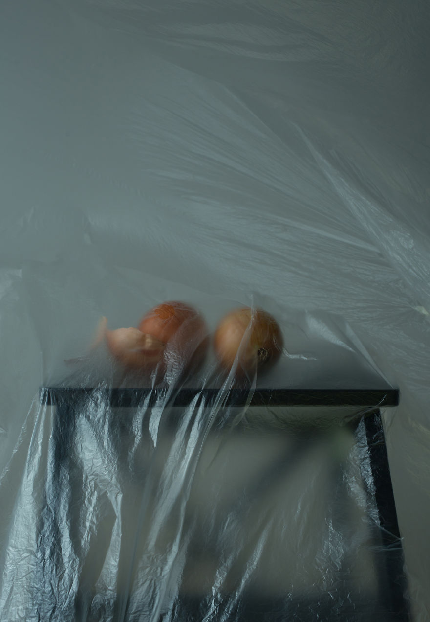 I Search For Beauty In My Own Home I Search For Beauty In My Own Home