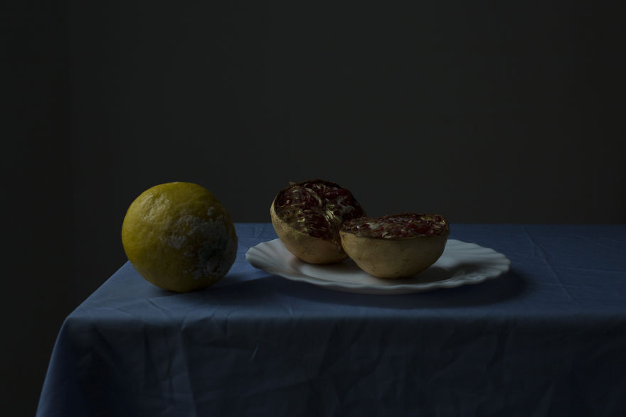 I Search For Beauty In My Own Home I Search For Beauty In My Own Home