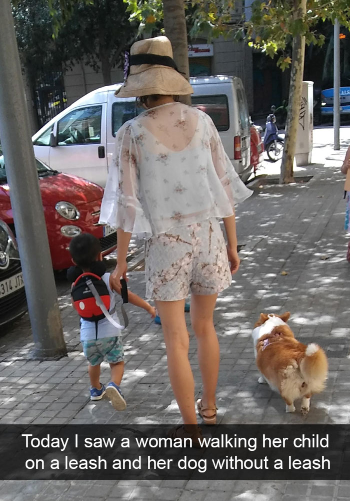 72 Spoiled Dogs That Live Better Than You Ever Will 72 Spoiled Dogs That Live Better Than You Ever Will