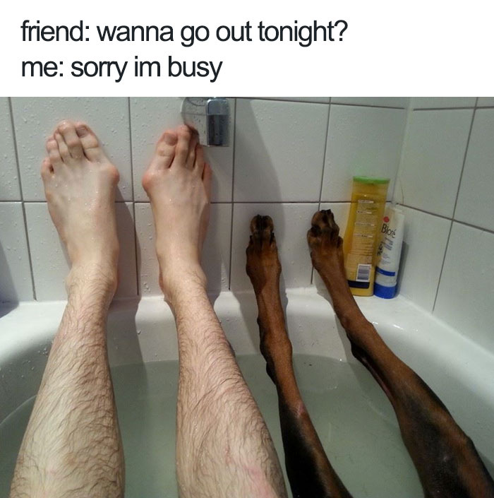 72 Spoiled Dogs That Live Better Than You Ever Will 72 Spoiled Dogs That Live Better Than You Ever Will