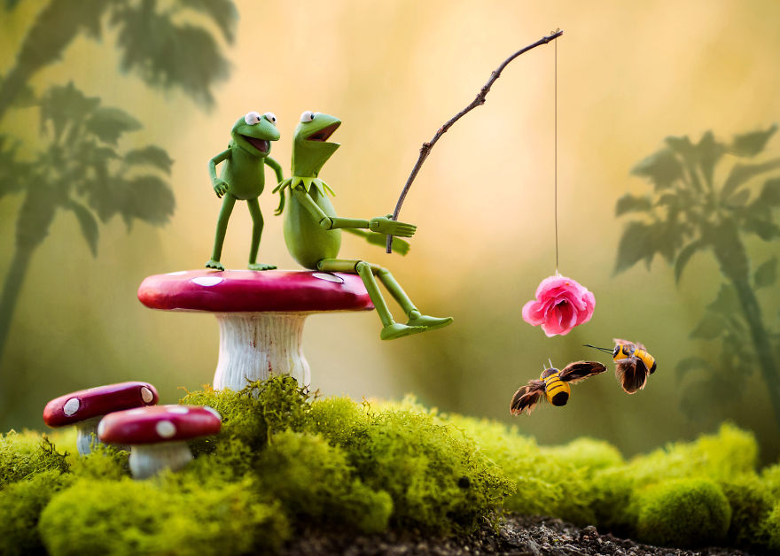 I Photograph Kermit The Frog Having Crazy Adventures I Photograph Kermit The Frog Having Crazy Adventures
