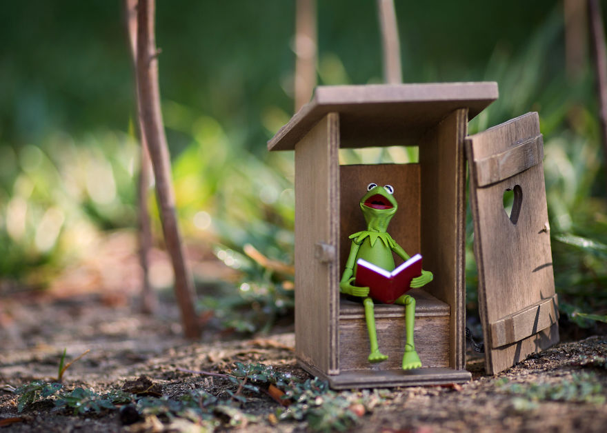 I Photograph Kermit The Frog Having Crazy Adventures I Photograph Kermit The Frog Having Crazy Adventures