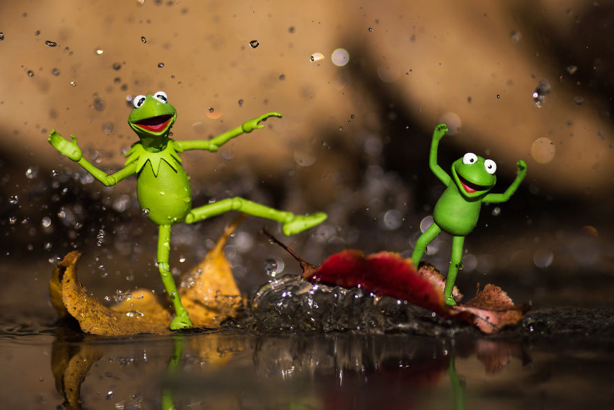 I Photograph Kermit The Frog Having Crazy Adventures I Photograph Kermit The Frog Having Crazy Adventures