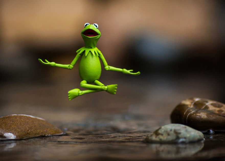 I Photograph Kermit The Frog Having Crazy Adventures I Photograph Kermit The Frog Having Crazy Adventures