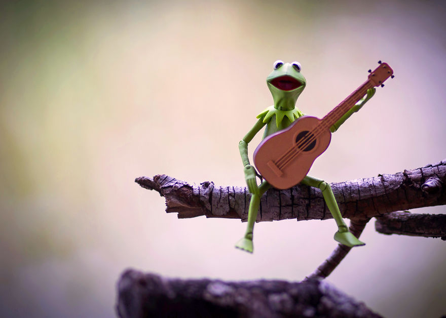 I Photograph Kermit The Frog Having Crazy Adventures I Photograph Kermit The Frog Having Crazy Adventures
