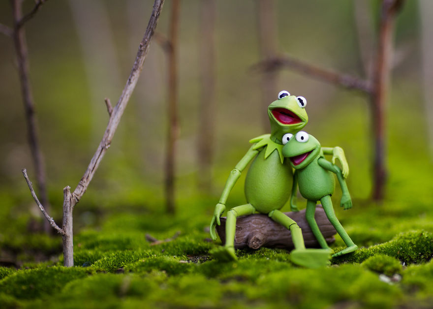 I Photograph Kermit The Frog Having Crazy Adventures I Photograph Kermit The Frog Having Crazy Adventures