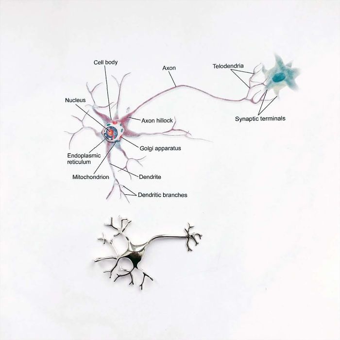 61 Science-Inspired Jewelry Pieces That No Science Geek Could Resist