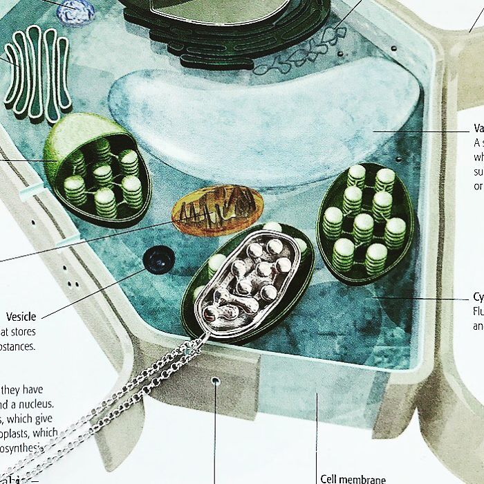 61 Science-Inspired Jewelry Pieces That No Science Geek Could Resist