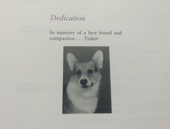 57 Times Writers Took Book Dedications To Another Level