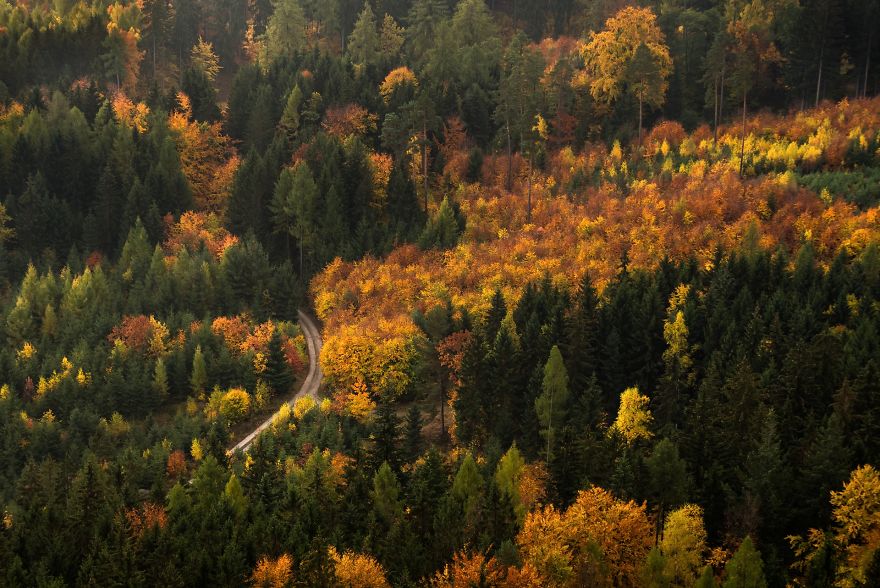 Amazing Autumn In The Polish Sudetes
