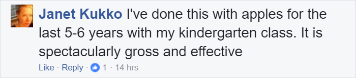 Genius Teacher’s ‘Bread Trick’ Shows Kids Why They Need To Wash Hands, And It’s Disgustingly Brilliant Genius Teacher’s ‘Bread Trick’ Shows Kids Why They Need To Wash Hands, And It’s Disgustingly Brilliant