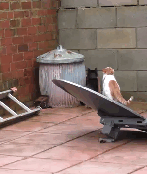 109 One In A Million Coincidences That Are Hard To Believe Have Actually Happened 109 One In A Million Coincidences That Are Hard To Believe Have Actually Happened