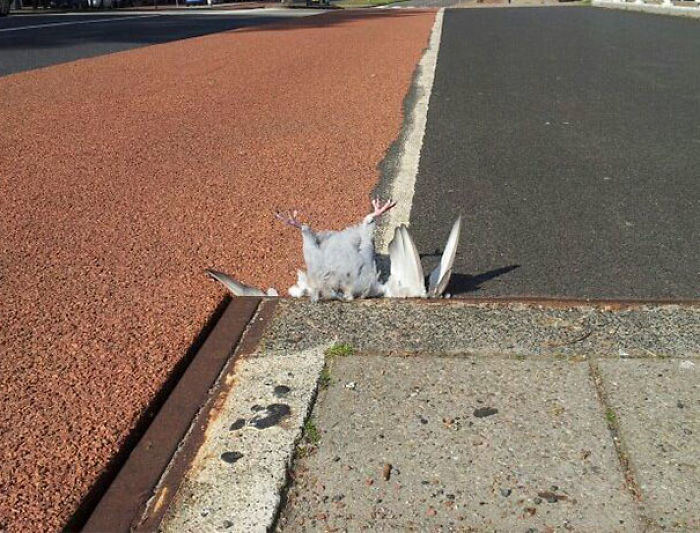 109 One In A Million Coincidences That Are Hard To Believe Have Actually Happened 109 One In A Million Coincidences That Are Hard To Believe Have Actually Happened