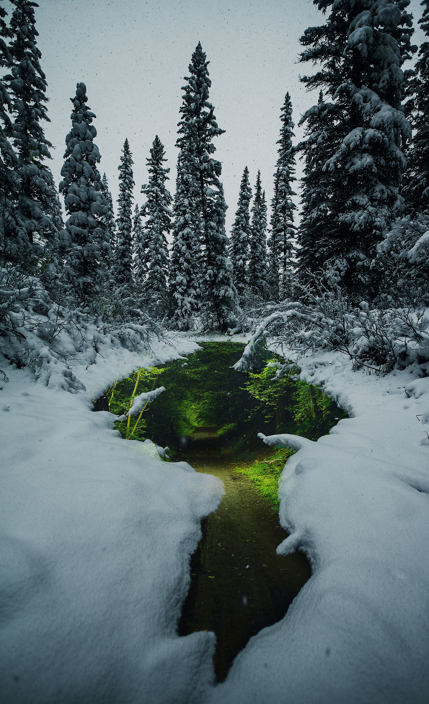 I Combine My Photos To Create New Worlds I Combine My Photos To Create New Worlds