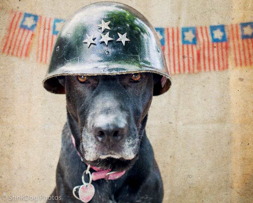 I Was Told To Watch Out For This Dog When I Was Photographing Him At A Rescue. Instead I Adopted Him I Was Told To Watch Out For This Dog When I Was Photographing Him At A Rescue. Instead I Adopted Him