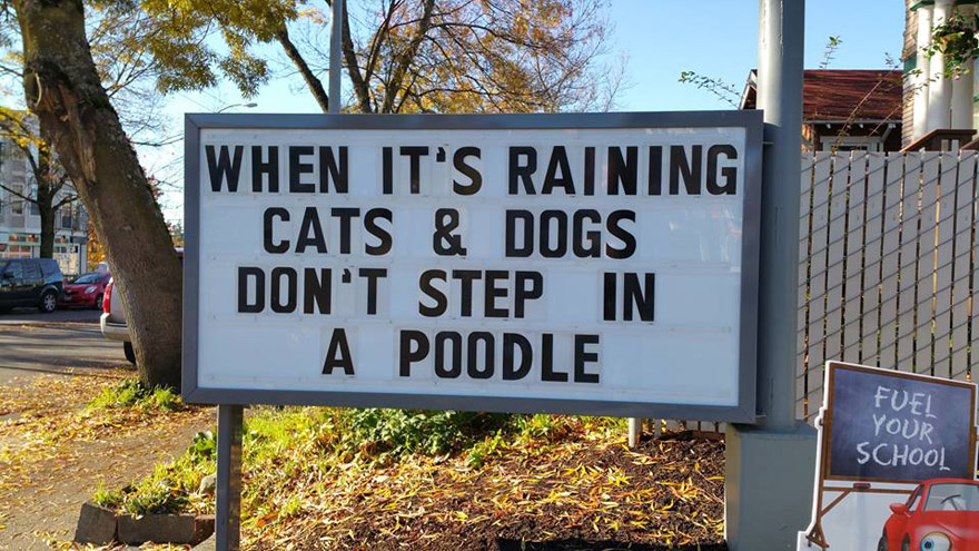 Local Gas Station Makes Whole Town Laugh Every Day With The Funniest Signs Ever Local Gas Station Makes Whole Town Laugh Every Day With The Funniest Signs Ever