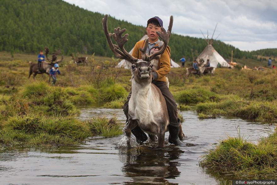I Took Photos Of Adorable Kids With Their Reindeer In The Remote Taiga Mountains Of Mongolia