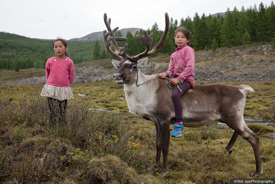 I Took Photos Of Adorable Kids With Their Reindeer In The Remote Taiga Mountains Of Mongolia I Took Photos Of Adorable Kids With Their Reindeer In The Remote Taiga Mountains Of Mongolia