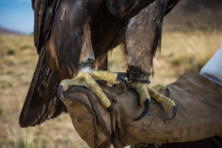 I Documented Bonding With A Bird