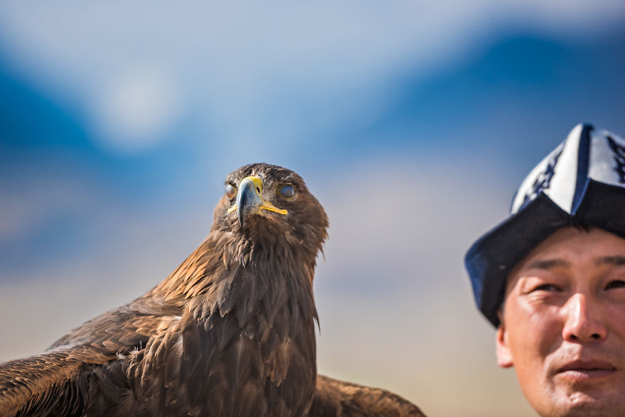 I Documented Bonding With A Bird