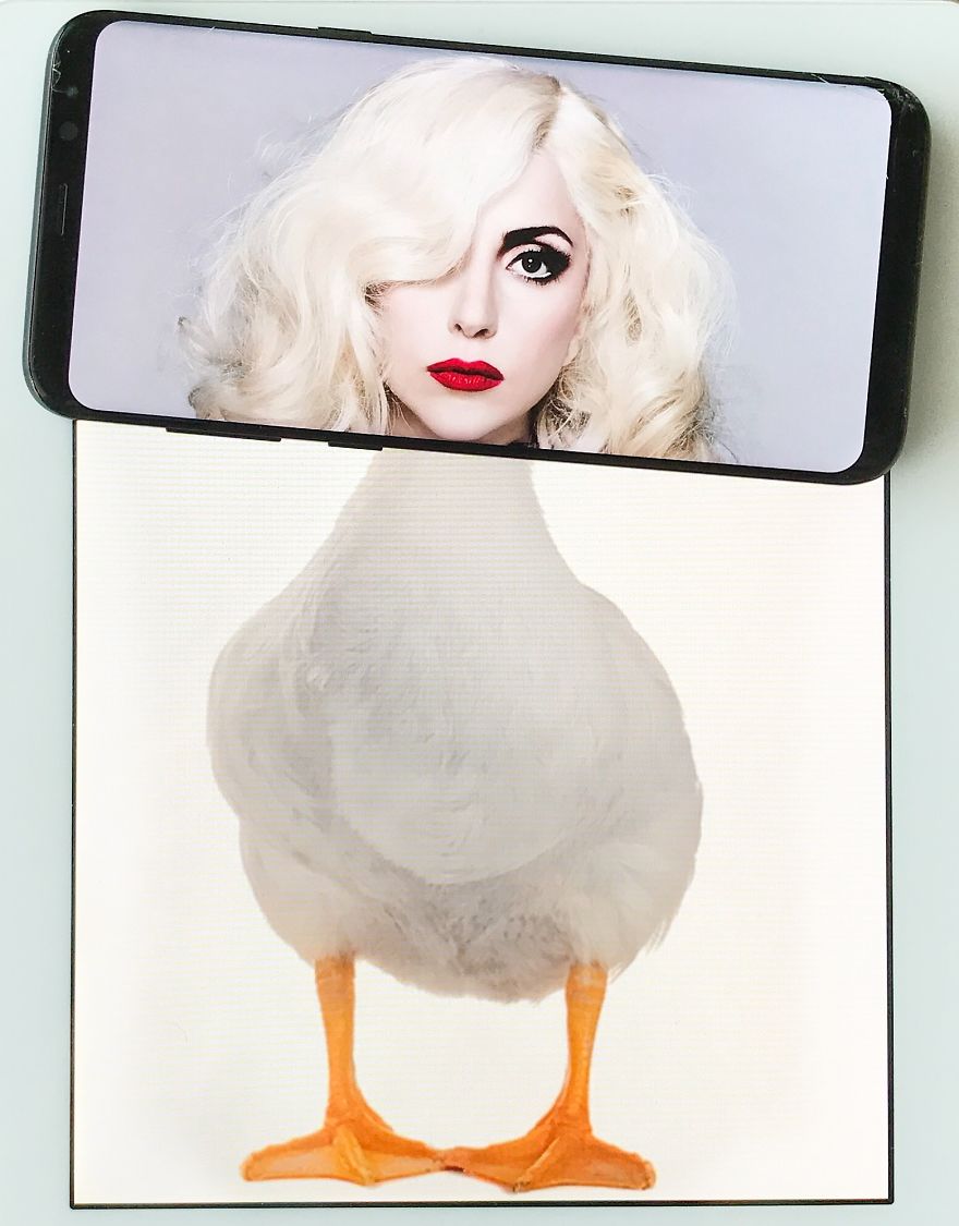 I Bring Everyday Objects To Life With My Smartphone (Part 6) I Bring Everyday Objects To Life With My Smartphone (Part 6)