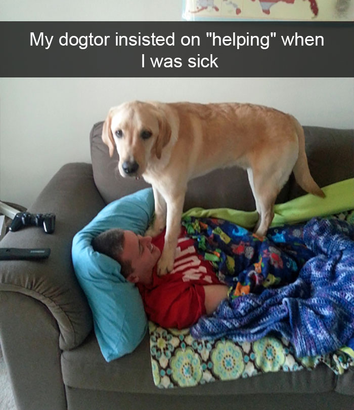 228 Funny And Cute Dog Snapchats That Will Make Your Day (New Pics) 228 Funny And Cute Dog Snapchats That Will Make Your Day (New Pics)