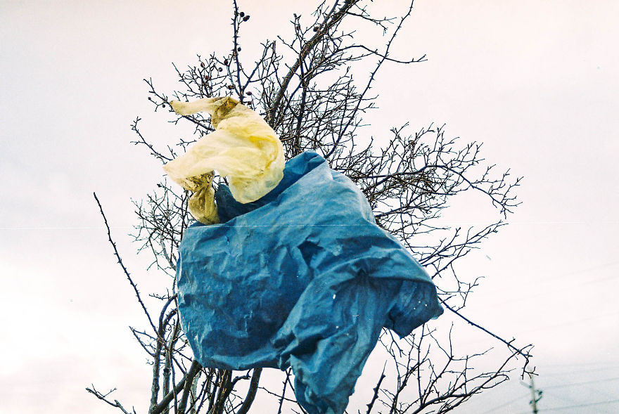 From A City Center To Suburban From A City Center To Suburban