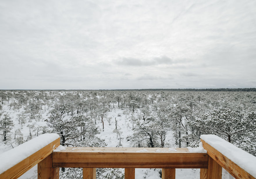 Estonia, Where Winter Still Prevails: Students Build A Staircase-Tower For Bog Watching