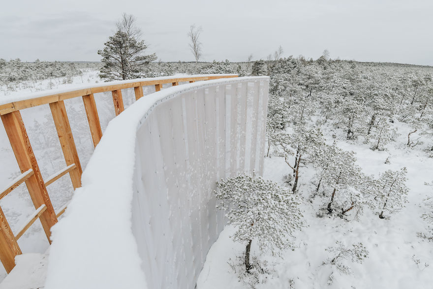 Estonia, Where Winter Still Prevails: Students Build A Staircase-Tower For Bog Watching