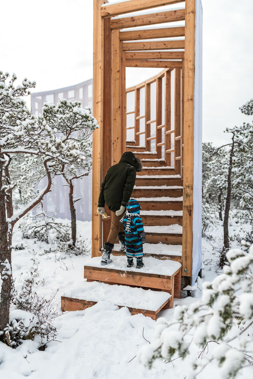 Estonia, Where Winter Still Prevails: Students Build A Staircase-Tower For Bog Watching