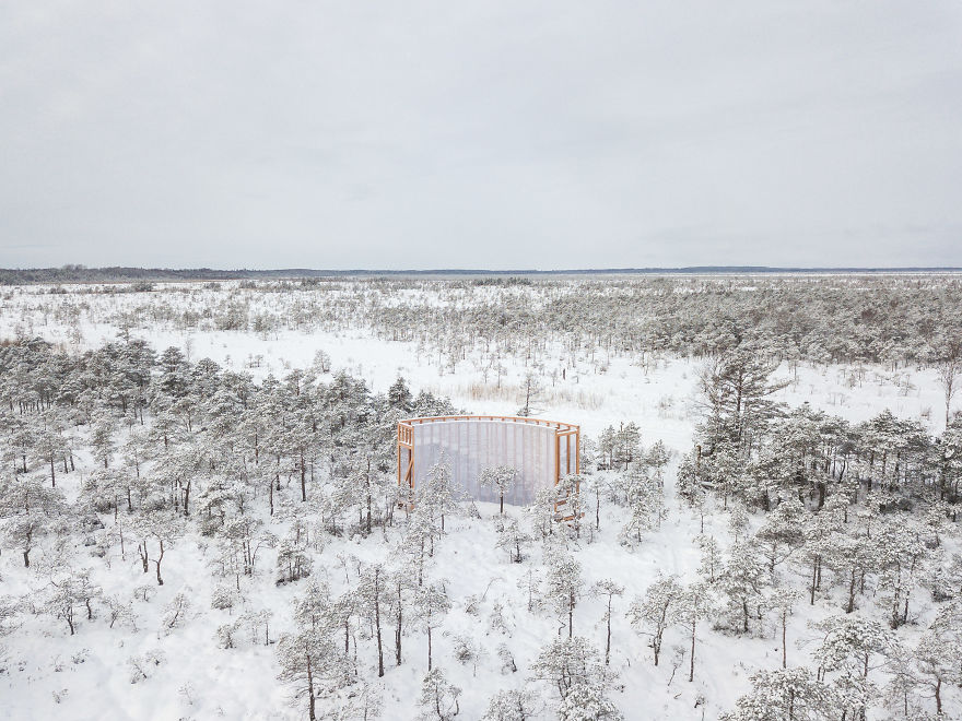 Estonia, Where Winter Still Prevails: Students Build A Staircase-Tower For Bog Watching