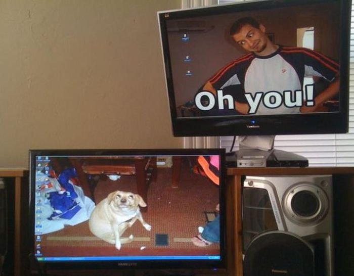 51 Hilariously Genius Desktop Wallpapers That Will Make You Look Twice 51 Hilariously Genius Desktop Wallpapers That Will Make You Look Twice