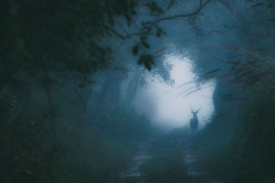 Finalists Of The 15th Smithsonian Photo Competition 2017 Have Been Announced, And They’re Stunning Finalists Of The 15th Smithsonian Photo Competition 2017 Have Been Announced, And They’re Stunning