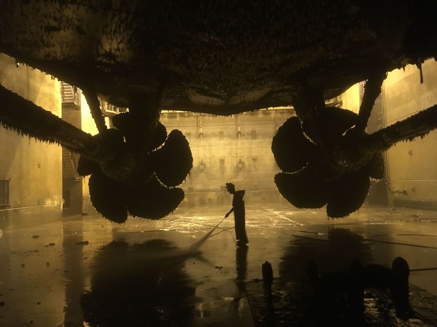 Finalists Of The 15th Smithsonian Photo Competition 2017 Have Been Announced, And They’re Stunning Finalists Of The 15th Smithsonian Photo Competition 2017 Have Been Announced, And They’re Stunning