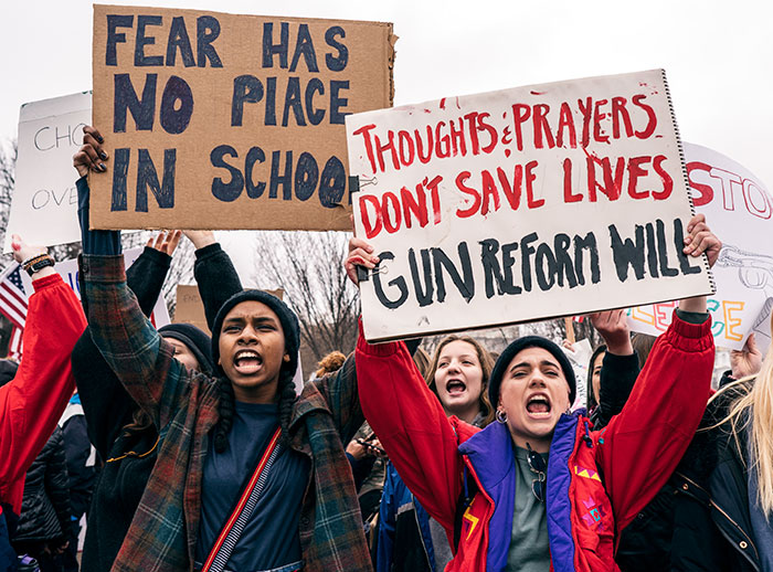 Animator Brilliantly Explains The Gun Control Debate Using Cats