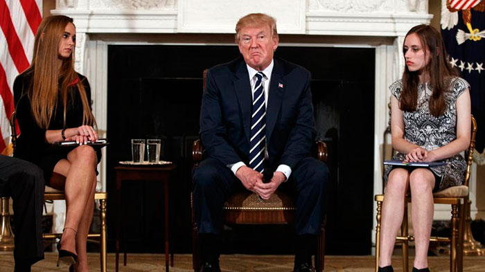 Animator Brilliantly Explains The Gun Control Debate Using Cats